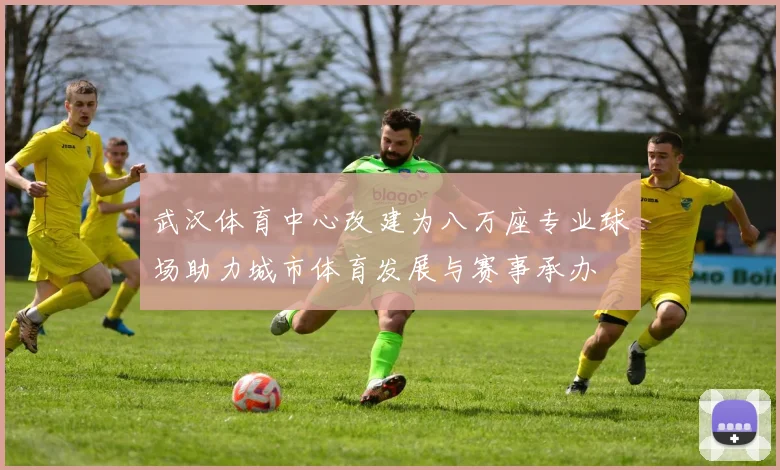 武汉体育中心改建为八万座专业球场助力城市体育发展与赛事承办
