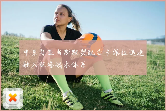 申京与亚当斯默契配合卡佩拉迅速融入双塔战术体系