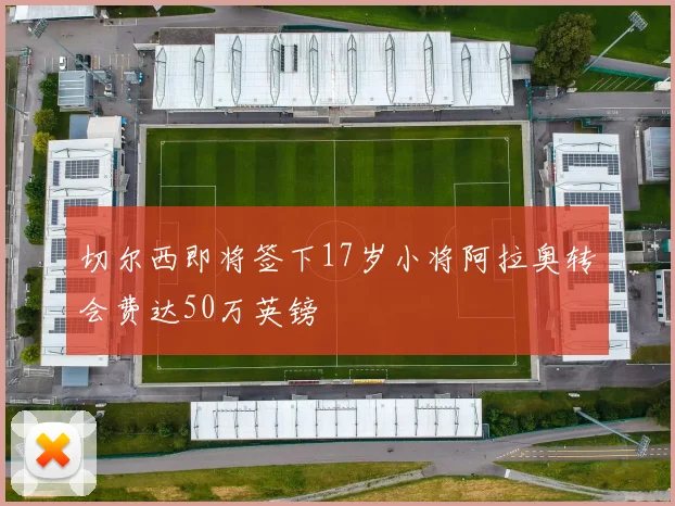切尔西即将签下17岁小将阿拉奥转会费达50万英镑