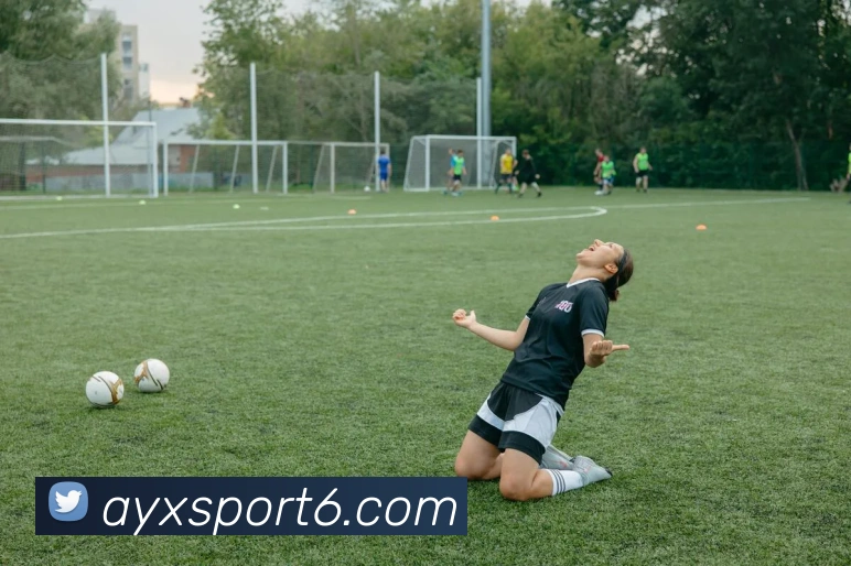 App Interface Preview