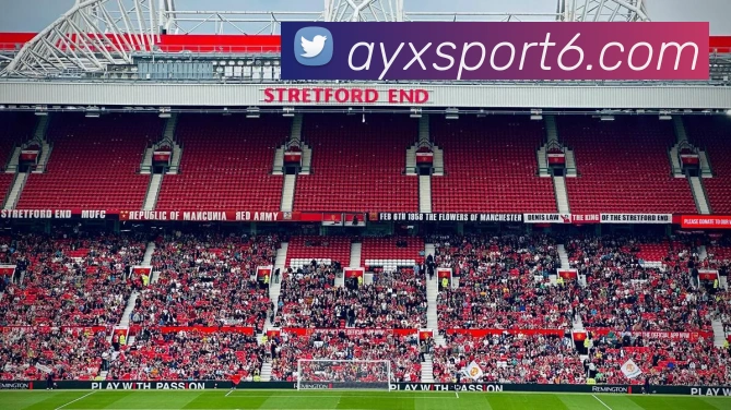 爱游戏体育APP 封面图